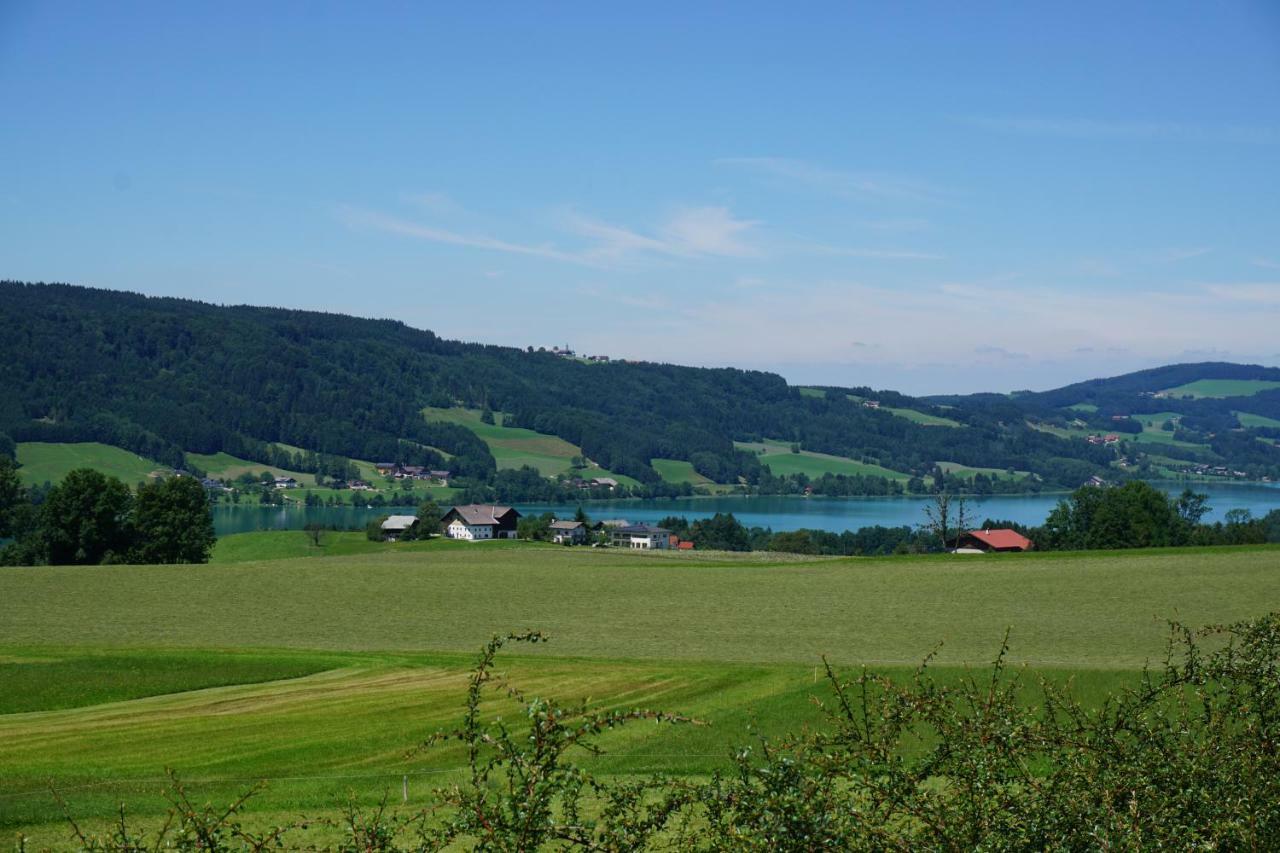 Ferienwohnung Hausleitner Zell am Moos Luaran gambar